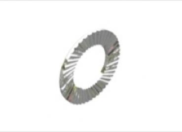 RI-0813f-2010 Sicherungsscheibe