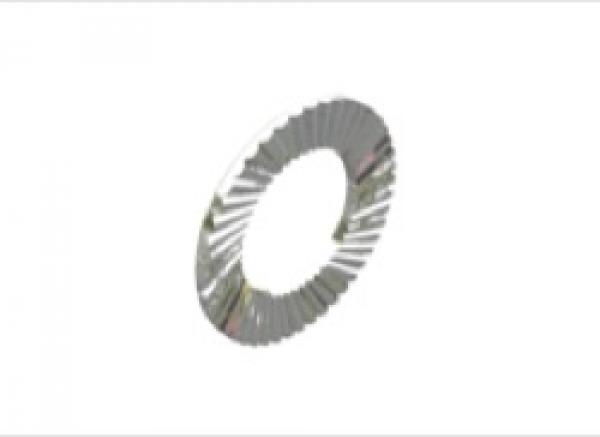 RI-0813f-2010 Sicherungsscheibe